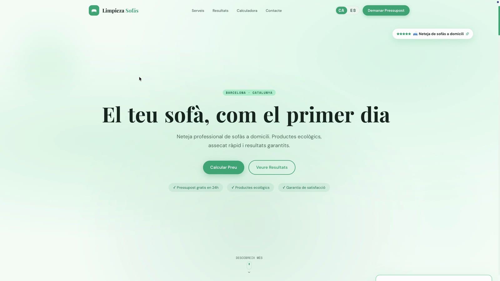 Limpieza Sofás
